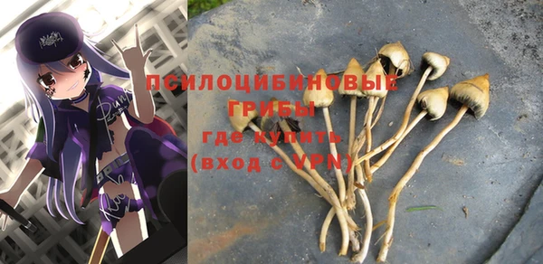 стаф Алексеевка