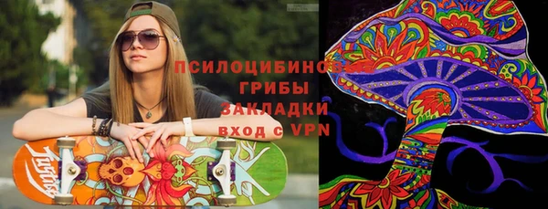 стаф Алексеевка