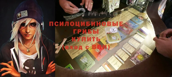стаф Алексеевка
