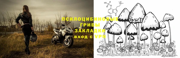 стаф Алексеевка