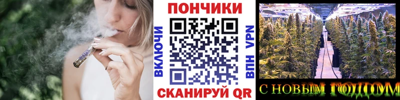 Бошки марихуана Bruce Banner Анжеро-Судженск